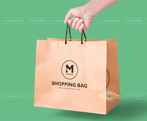 Túi giấy Shopping Bag