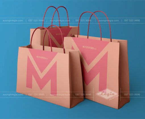 Túi giấy Shopping Bag