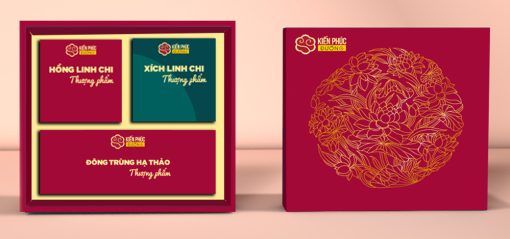 Choáng ngợp 5 mẫu hộp giấy đựng quà Tết độc đáo cho doanh nghiệp