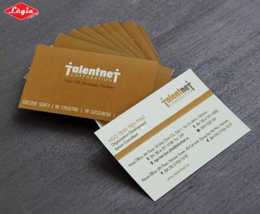 Mẫu Card Visit Cá Nhân Đơn Giản, Đẹp & Chuyên Nghiệp